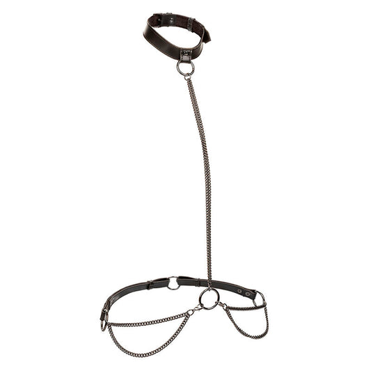 CALEXOTICS - EUPHORIA CHAIN HALTER COLLAR & LEASH PLUS SIZE - My naughty haven #