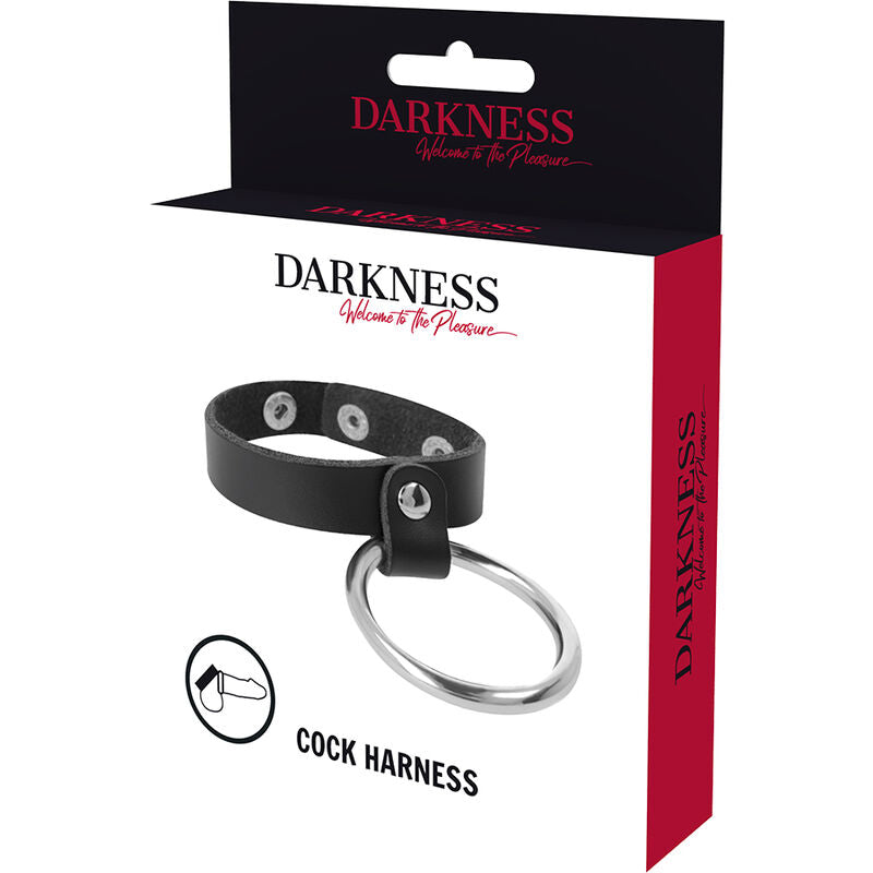 DARKNESS - METAL RING FOR THE PENIS AND TESTICLES - My naughty haven #