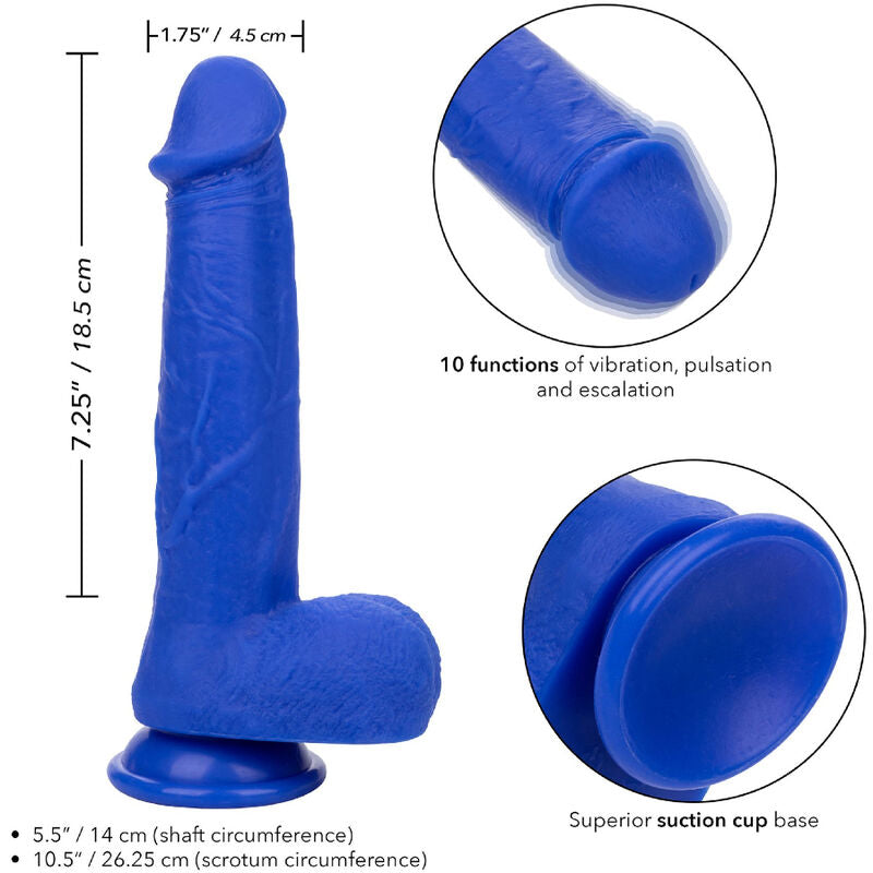CALEXOTICS - ADMIRAL CAPTAIN REALISTIC DILDO VIBRATOR BLUE - My naughty haven #