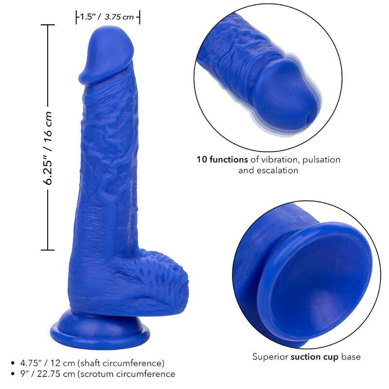 CALEXOTICS - ADMIRAL SAILOR REALISTIC DILDO VIBRATOR BLUE - My naughty haven #