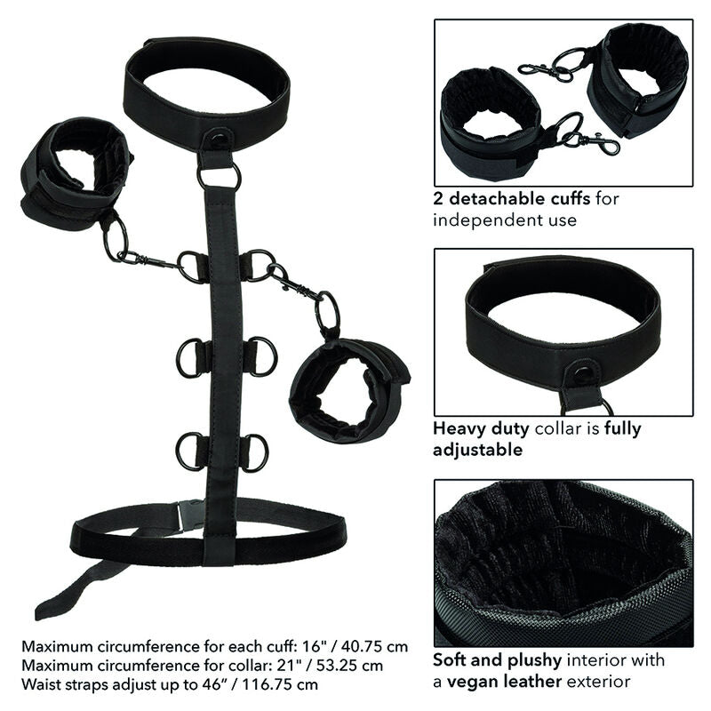CALEXOTICS - BOUNDLESS COLLAR BODY RESTRAINT - My naughty haven #
