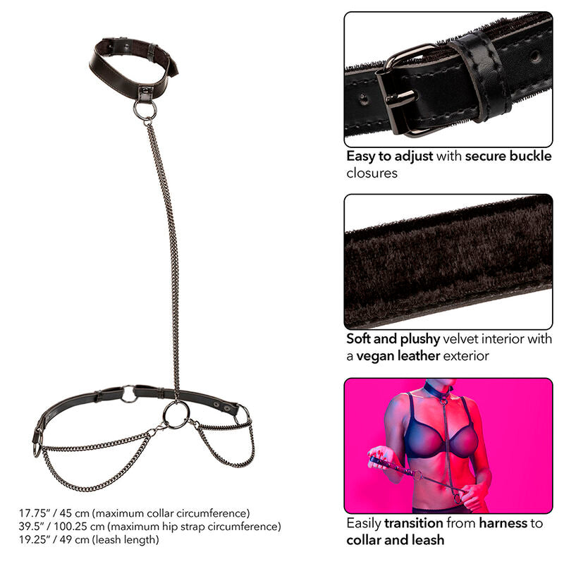 CALEXOTICS - EUPHORIA CHAIN HALTER COLLAR & LEASH - My naughty haven #