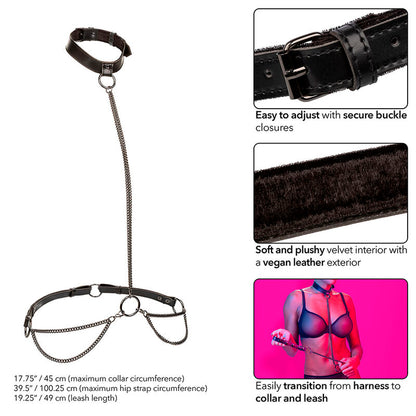 CALEXOTICS - EUPHORIA CHAIN HALTER COLLAR & LEASH - My naughty haven #