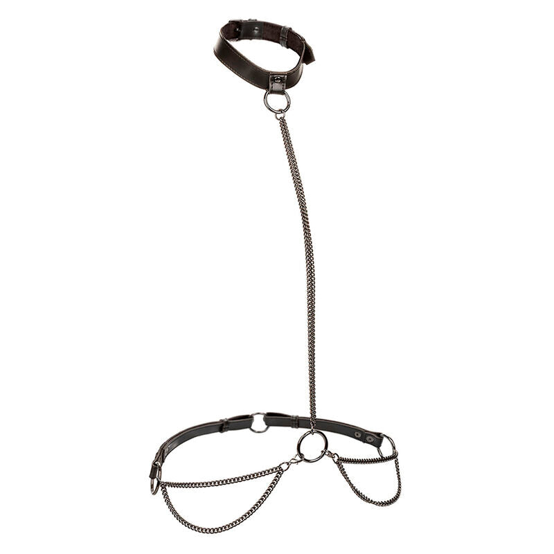 CALEXOTICS - EUPHORIA CHAIN HALTER COLLAR & LEASH PLUS SIZE - My naughty haven #