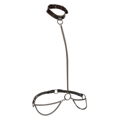 CALEXOTICS - EUPHORIA CHAIN HALTER COLLAR & LEASH PLUS SIZE - My naughty haven #