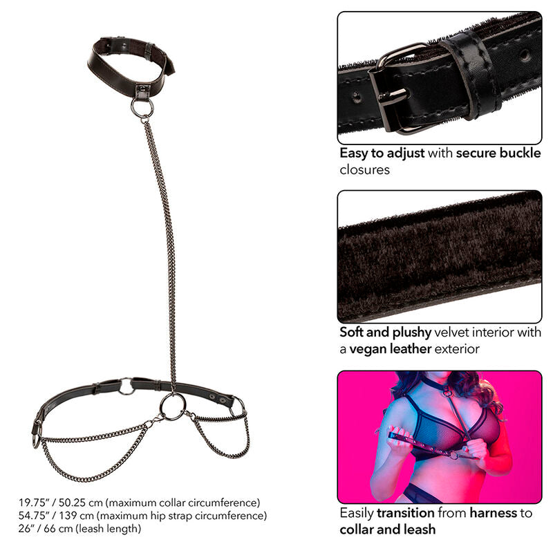 CALEXOTICS - EUPHORIA CHAIN HALTER COLLAR & LEASH PLUS SIZE - My naughty haven #