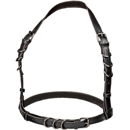 CALEXOTICS - EUPHORIA HALTER BUCKLE HARNESS BLACK - My naughty haven #