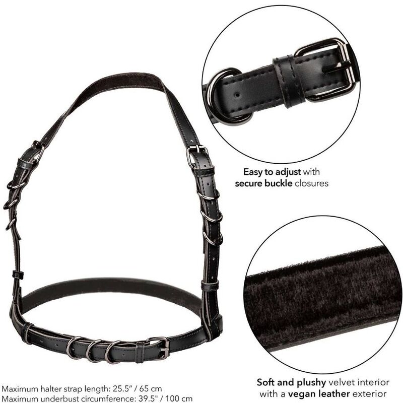 CALEXOTICS - EUPHORIA HALTER BUCKLE HARNESS BLACK - My naughty haven #