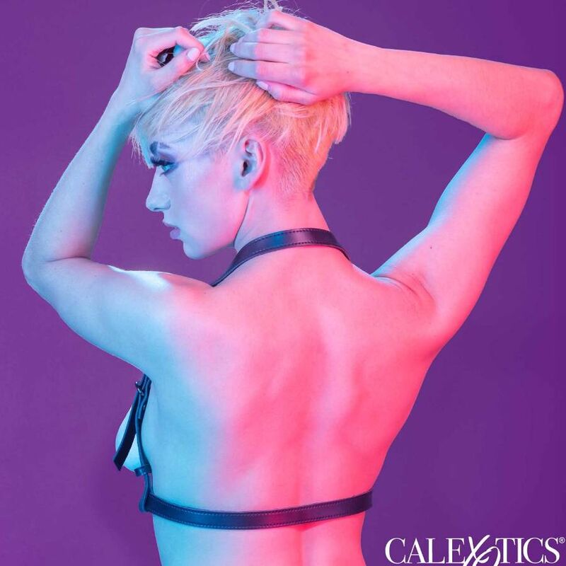 CALEXOTICS - EUPHORIA HALTER BUCKLE HARNESS BLACK - My naughty haven #
