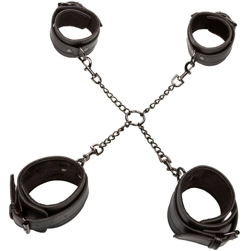 CALEXOTICS - EUPHORIA HOG TIE - My naughty haven #