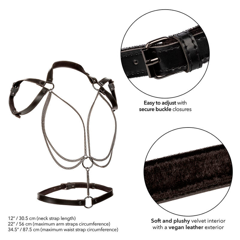 CALEXOTICS - EUPHORIA MULTICHAIN HALTER HARNESS PREMIUM - My naughty haven #