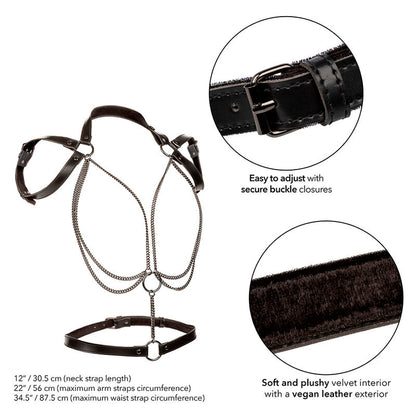 CALEXOTICS - EUPHORIA MULTICHAIN HALTER HARNESS PREMIUM - My naughty haven #