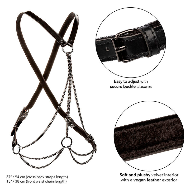 CALEXOTICS - EUPHORIA MULTICHAIN HARNESS PREMIUM - My naughty haven #