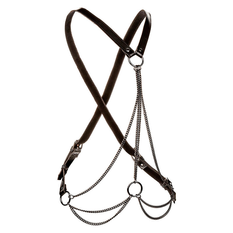 CALEXOTICS - EUPHORIA MULTICHAIN HARNESS PREMIUM PLUS SIZE - My naughty haven #