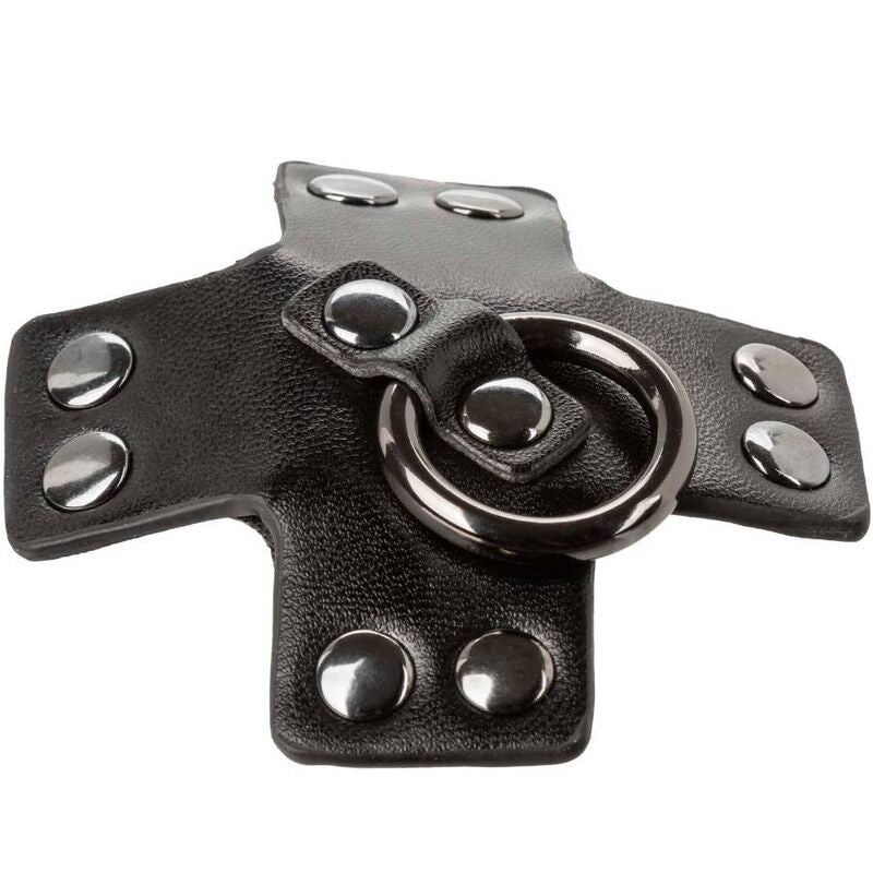 CALEXOTICS - EUPHORIA O-RING BLACK - My naughty haven #