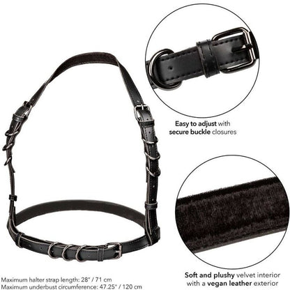 CALEXOTICS - EUPHORIA PLUS SIZE HALTER BUCKLE HARNESS BLACK - My naughty haven #