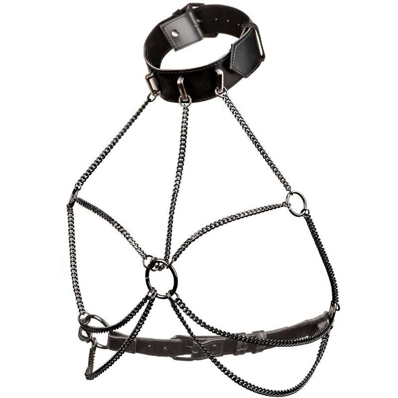 CALEXOTICS - EUPHORIA PLUS SIZE MULTI CHAIN COLLAR HARNESS - My naughty haven #