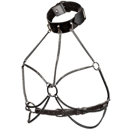 CALEXOTICS - EUPHORIA PLUS SIZE MULTI CHAIN COLLAR HARNESS - My naughty haven #