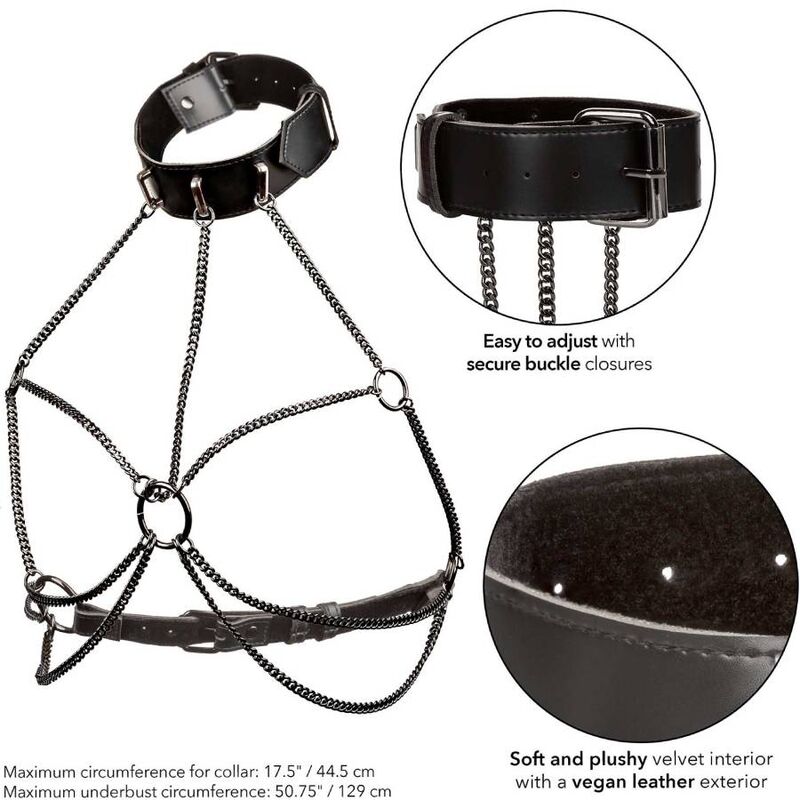 CALEXOTICS - EUPHORIA PLUS SIZE MULTI CHAIN COLLAR HARNESS - My naughty haven #