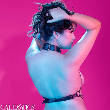CALEXOTICS - EUPHORIA PLUS SIZE MULTI CHAIN COLLAR HARNESS - My naughty haven #