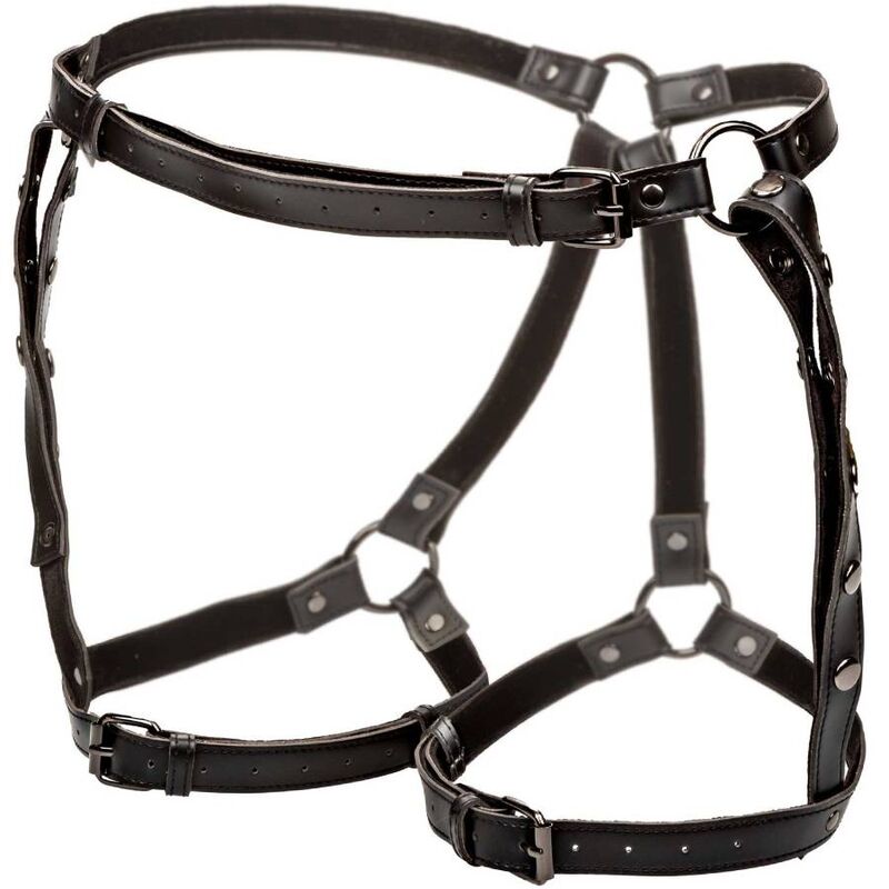 CALEXOTICS - EUPHORIA PLUS SIZE RIDING THIGH HARNESS - My naughty haven #