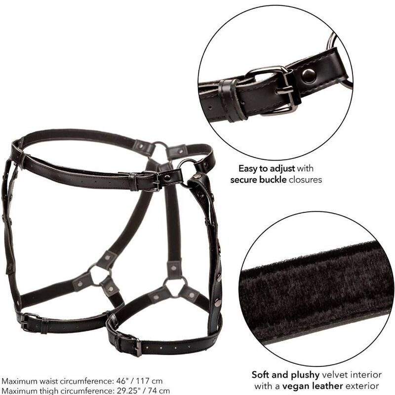 CALEXOTICS - EUPHORIA PLUS SIZE RIDING THIGH HARNESS - My naughty haven #