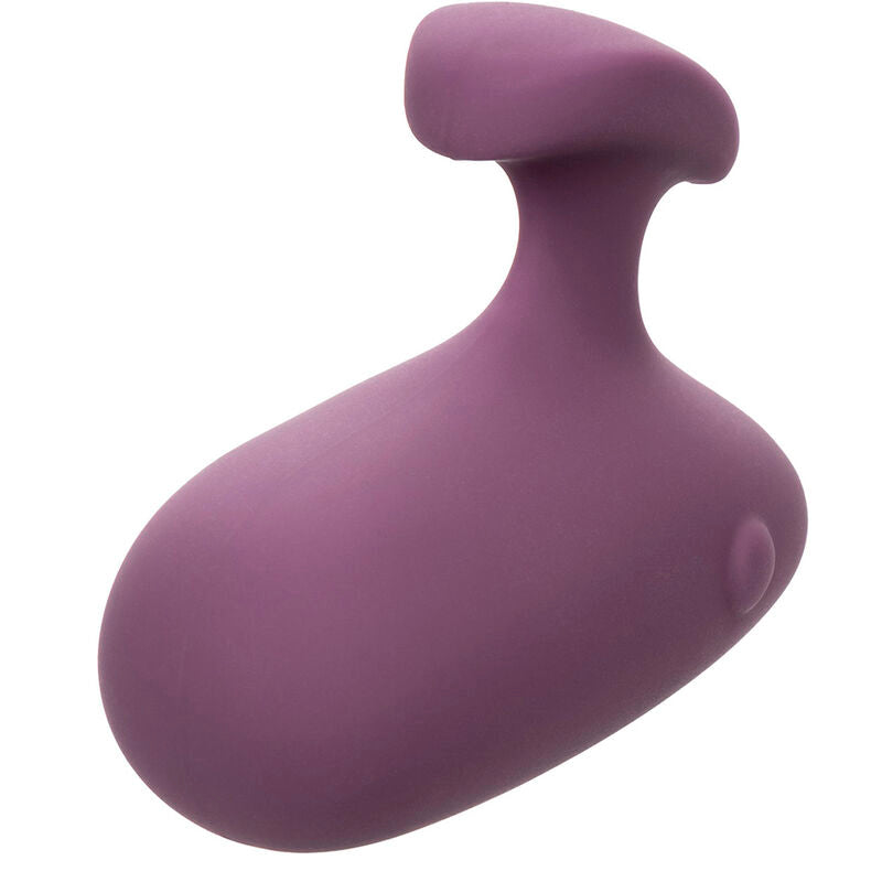 CALEXOTICS - MOD TOUCH STIMULATOR PURPLE - My naughty haven #