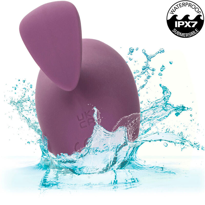 CALEXOTICS - MOD TOUCH STIMULATOR PURPLE - My naughty haven #