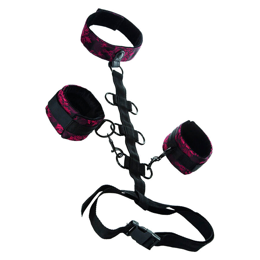 CALEXOTICS - SCANDAL COMPORAL SUPPORT WITH NECK - My naughty haven #