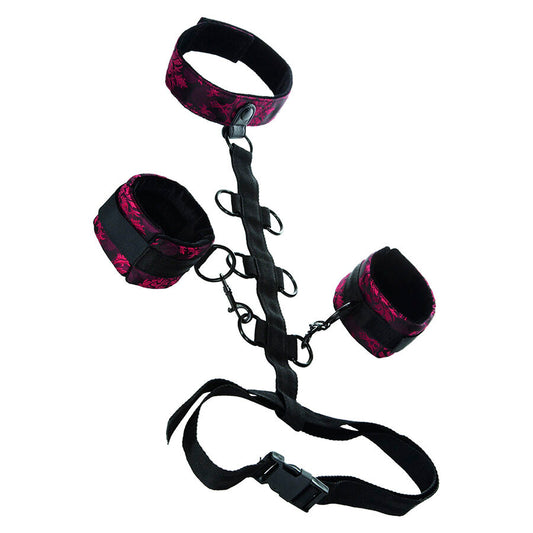 CALEXOTICS - SCANDAL COMPORAL SUPPORT WITH NECK - My naughty haven #