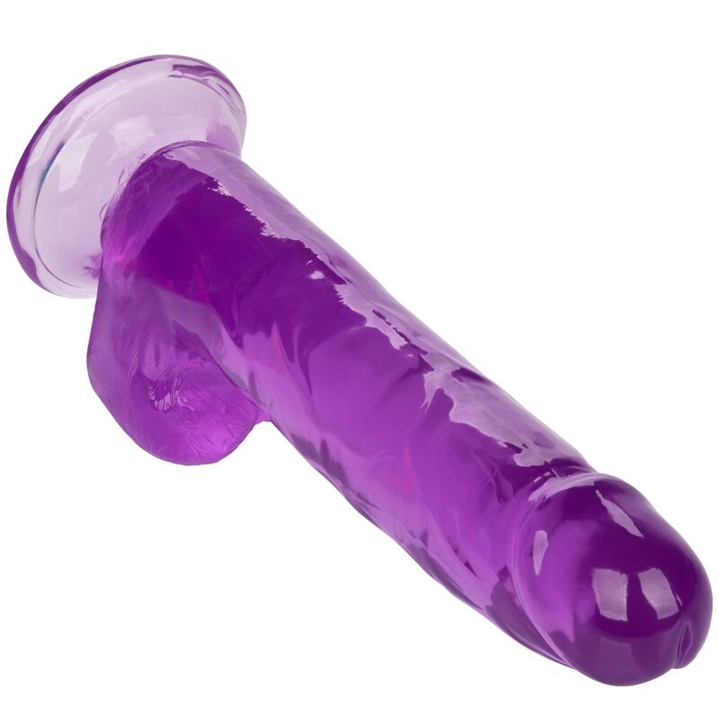 CALEXOTICS - SIZE QUEEN DILDO PURPLE 20.3 CM - My naughty haven #