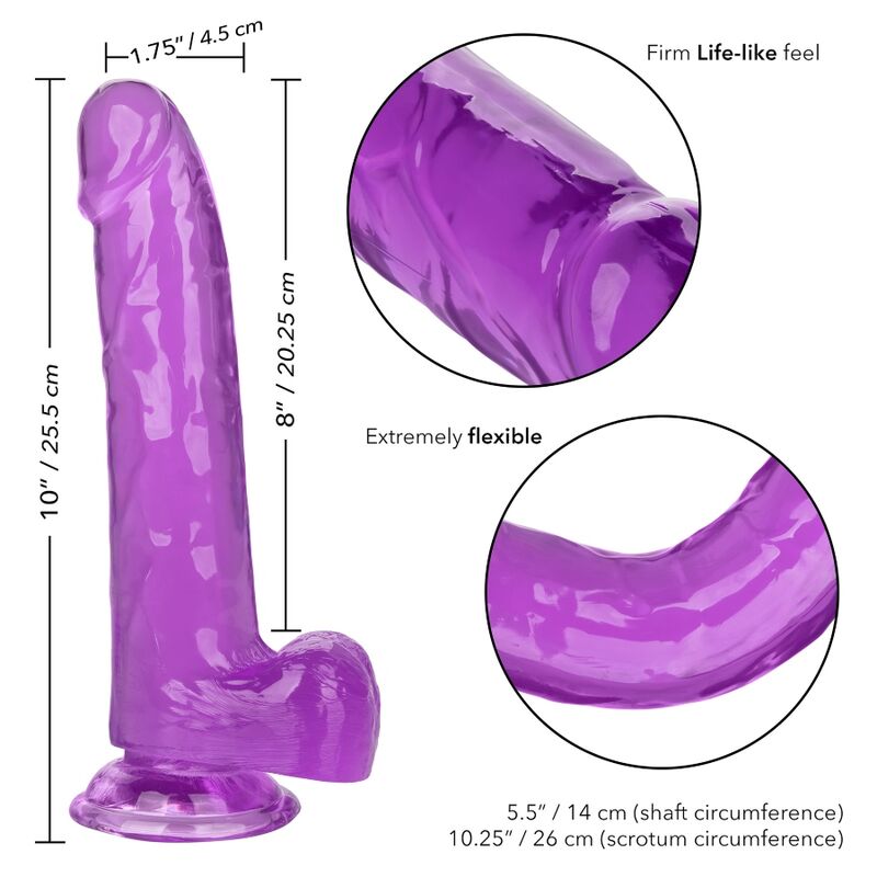 CALEXOTICS - SIZE QUEEN DILDO PURPLE 20.3 CM - My naughty haven #