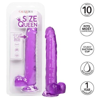 CALEXOTICS - SIZE QUEEN DILDO PURPLE 25.5 CM - My naughty haven #