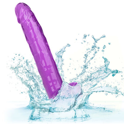 CALEXOTICS - SIZE QUEEN DILDO PURPLE 25.5 CM - My naughty haven #