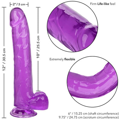 CALEXOTICS - SIZE QUEEN DILDO PURPLE 25.5 CM - My naughty haven #