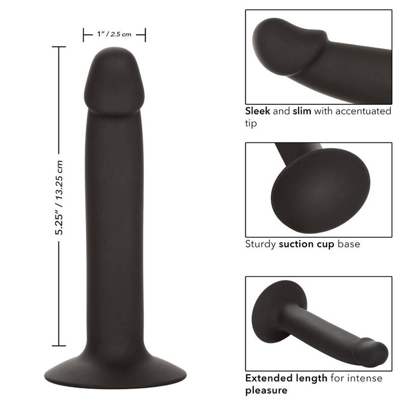 CALEXOTICS - SLIM ANAL STUD - My naughty haven #