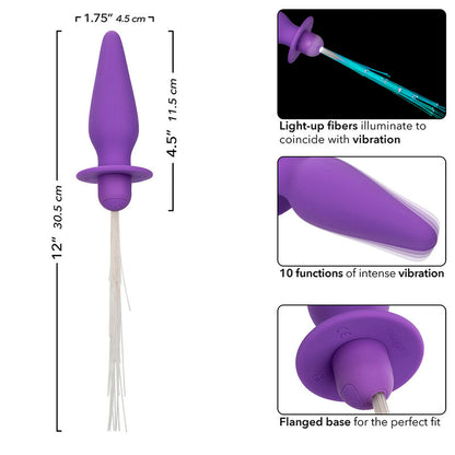CALEXOTICS - SOUTHERN LIGHTS LIGHT UP ANAL PLUG 10 VIBRATIONS SILICONE PURPLE - My naughty haven #