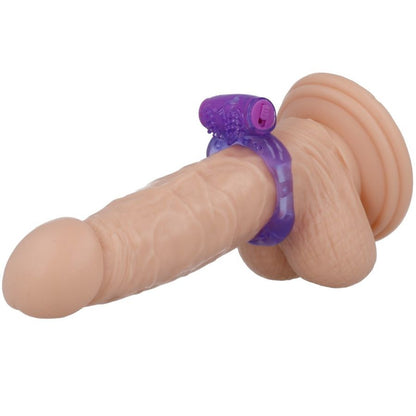 CASUAL LOVE - RING 32 PURPLE - My naughty haven #