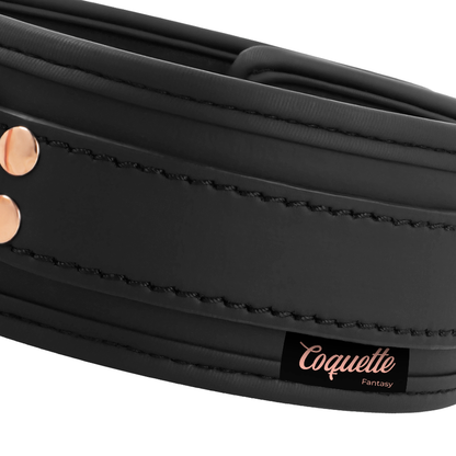 COQUETTE CHIC DESIRE - FANTASY VEGAN LEATHER COLLAR WITH NEOPRENE LINING - My naughty haven #