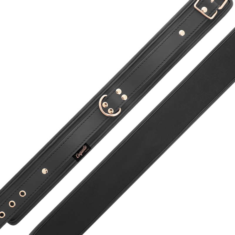 COQUETTE CHIC DESIRE - FANTASY VEGAN LEATHER COLLAR WITH NEOPRENE LINING - My naughty haven #