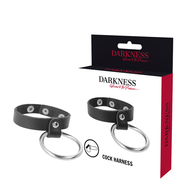 DARKNESS - METAL RING FOR THE PENIS AND TESTICLES - My naughty haven #