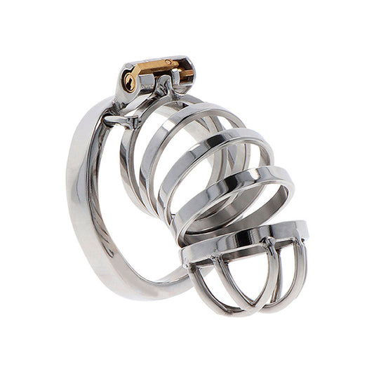 HIDDEN DESIRE - EXTREME CHASTITY COCK CAGE METAL - My naughty haven #