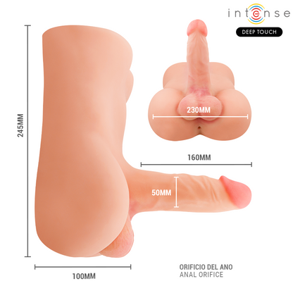 INTENSE DEEP TOUCH - DAMIEN TORSO WITH REALISTIC DILDO WITH PUSHING AND VIBRATION REMOTE CONTROL 3.5 KG - My naughty haven #