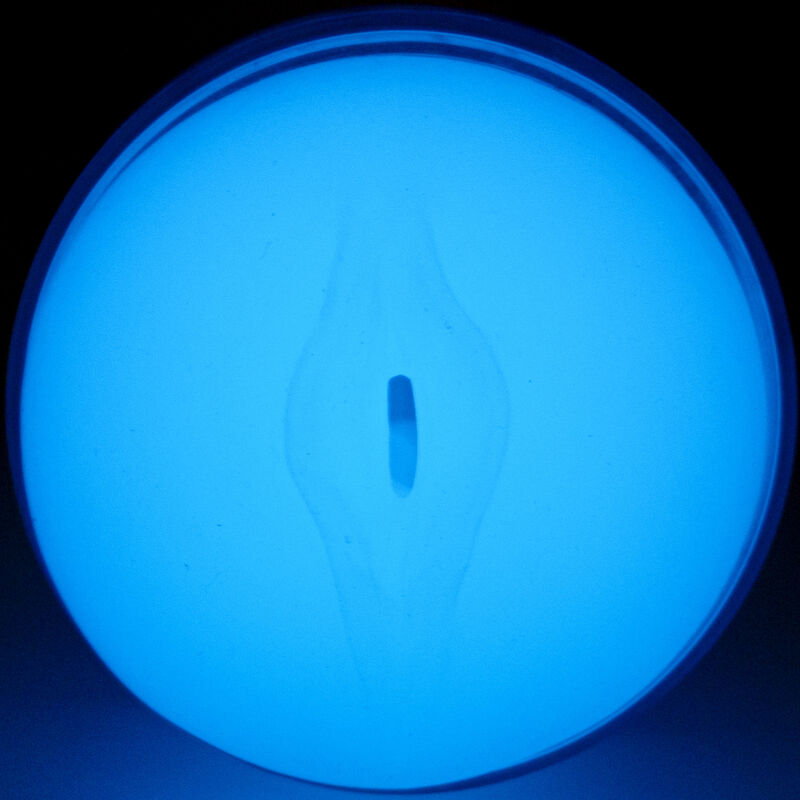 KIIROO - FEEL GLOW IN THE DARK STROKER - My naughty haven #