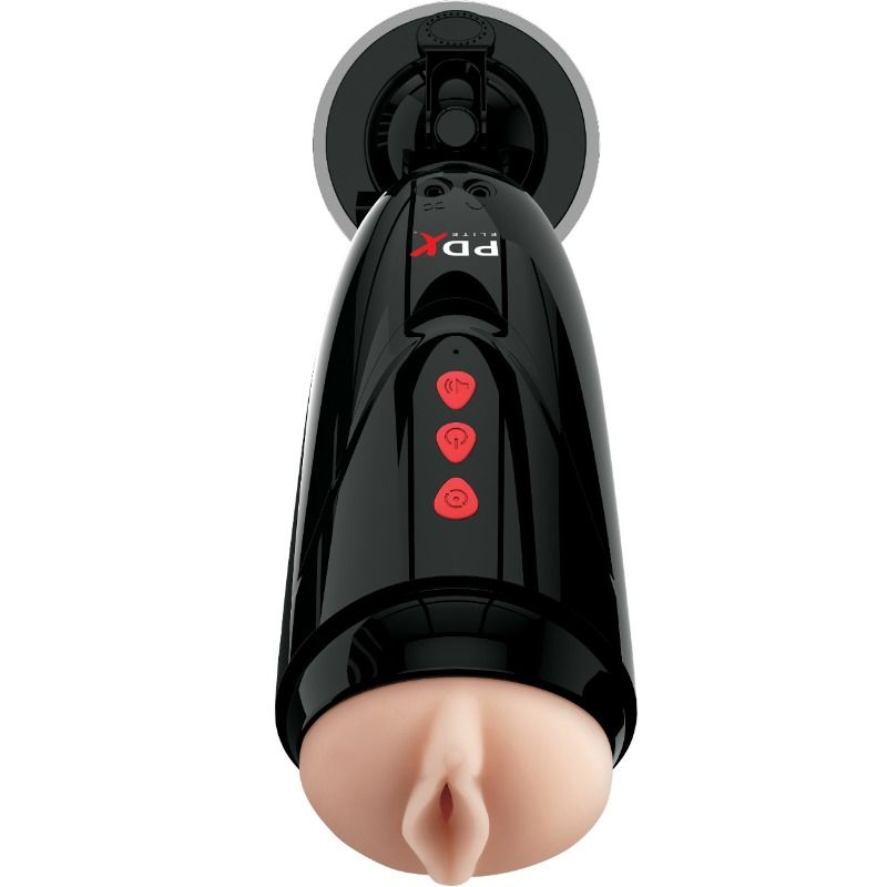 PDX ELITE - DIRTY TALK STARTER STROKER - My naughty haven #