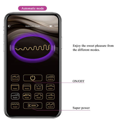 PRETTY LOVE - ELVIRA RECHARGEABLE VIBRATING BALLS PURPLE - My naughty haven #