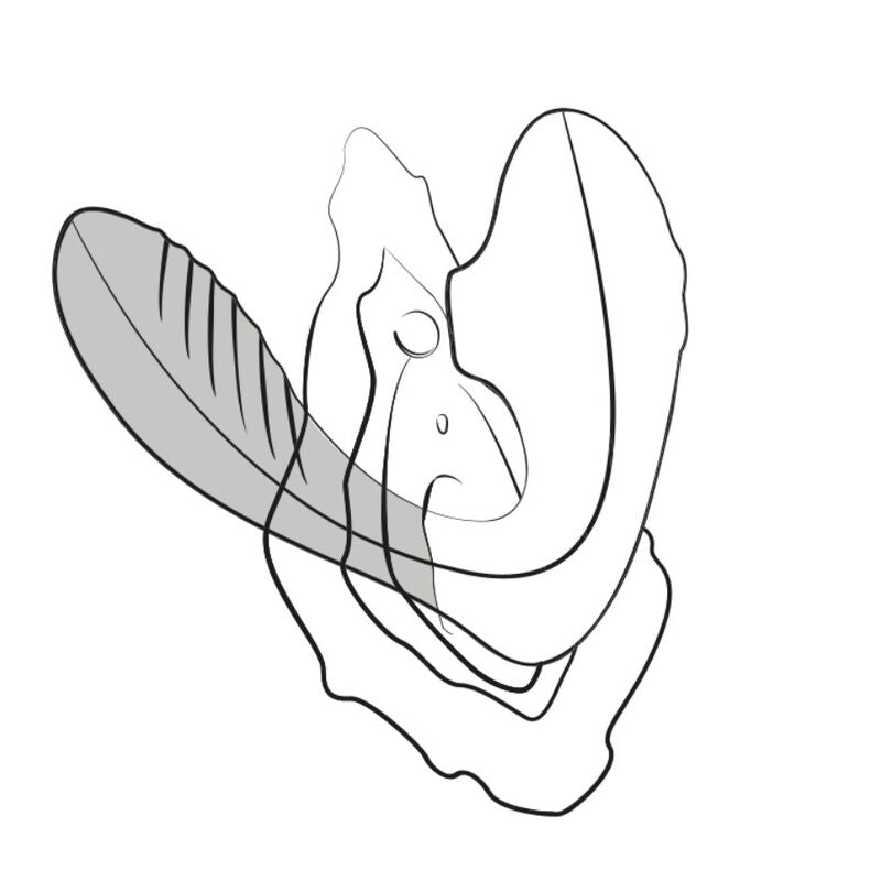 ROMP - REVERB G-SPOT STIMULATOR AND CLITORAL SUCTION DEVICE PURPLE - My naughty haven #