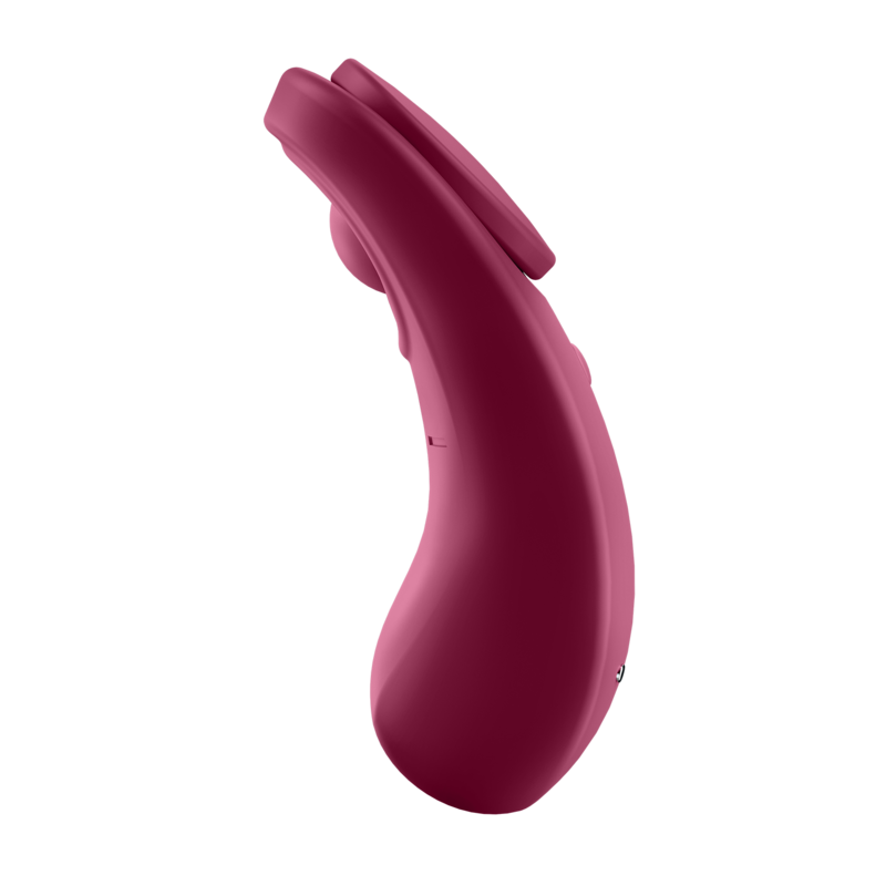 SATISFYER - SEXY SECRET PANTY - My naughty haven #