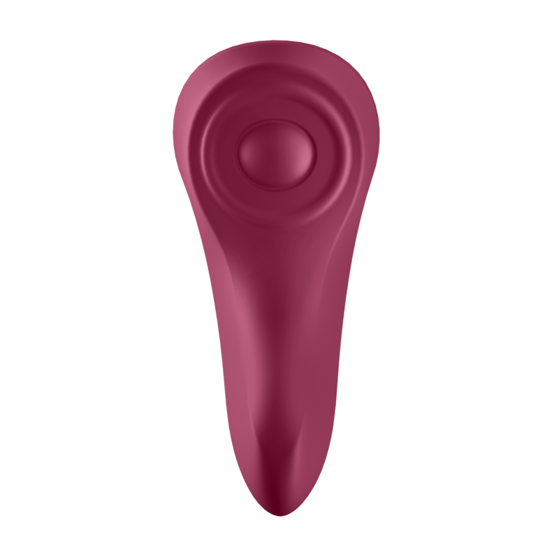 SATISFYER - SEXY SECRET PANTY - My naughty haven #