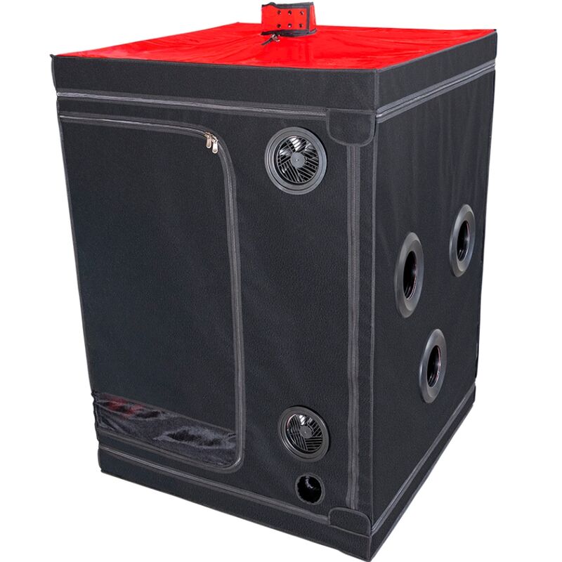 SECRET DOME - KINK CLUB CABIN SCANDALE BLACK & RED - My naughty haven #